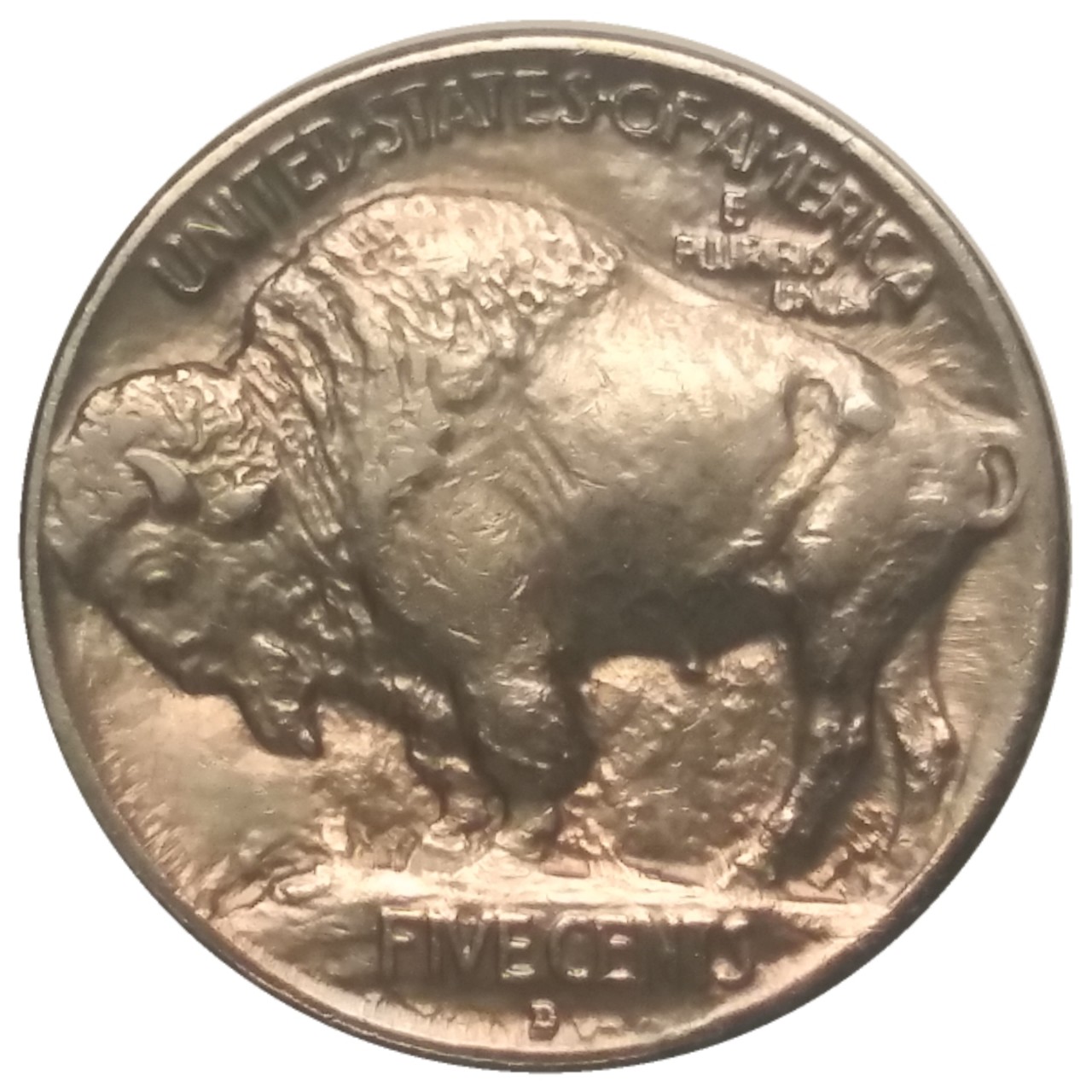 1913-D-Type-I-Buffalo-Nickel-#5